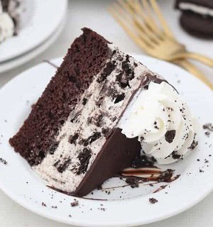 19 Simple Oreo Cake 25 Oreo Ice Cream Cake 089