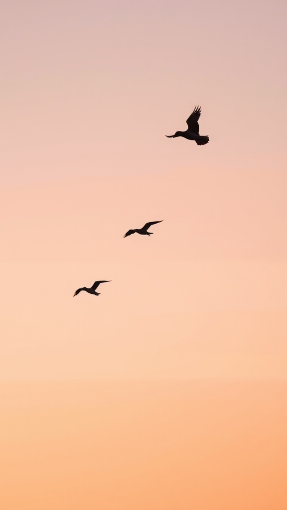 Silhouettes of birds flying against a pastel sky at sunset.
