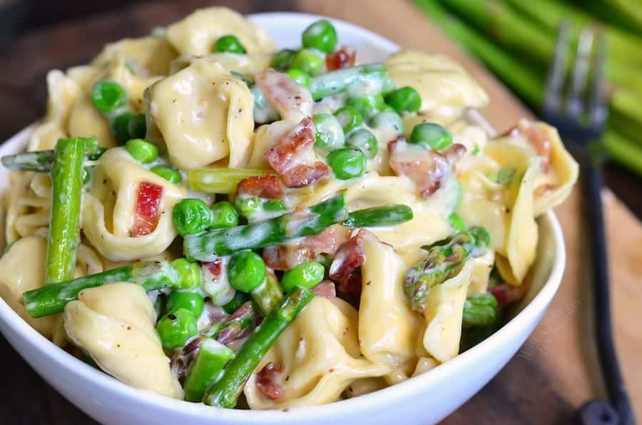 A vibrant array of freshly prepared pasta recipes, including spaghetti, penne, and fusilli, adorned with various sauces, herbs, and garnishes