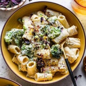 A vibrant array of freshly prepared pasta recipes, including spaghetti, penne, and fusilli, adorned with various sauces, herbs, and garnishes