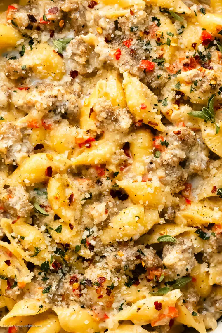 A vibrant array of freshly prepared pasta recipes, including spaghetti, penne, and fusilli, adorned with various sauces, herbs, and garnishes