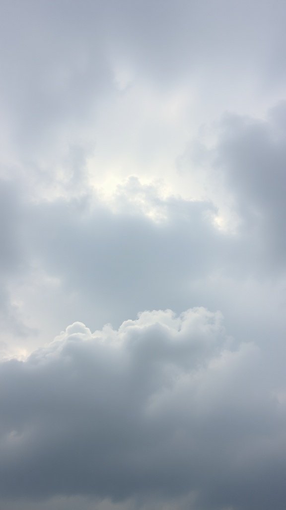 A cloudy sky with soft gray tones.