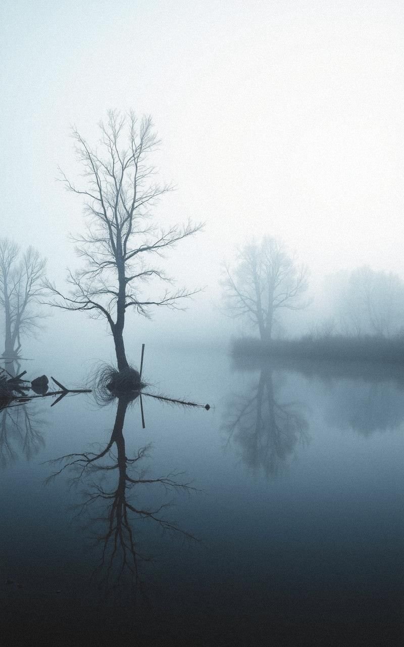 Foggy Morning River with Soft Reflections