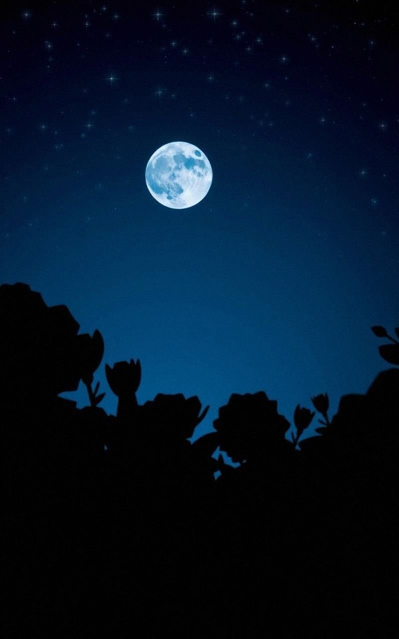 Moonlit Garden With Silhouetted Blossoms And Stars