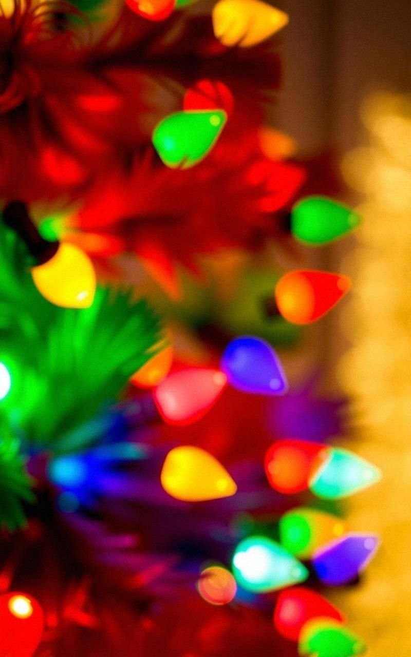 Twinkling Christmas Tree Lights Close-Up