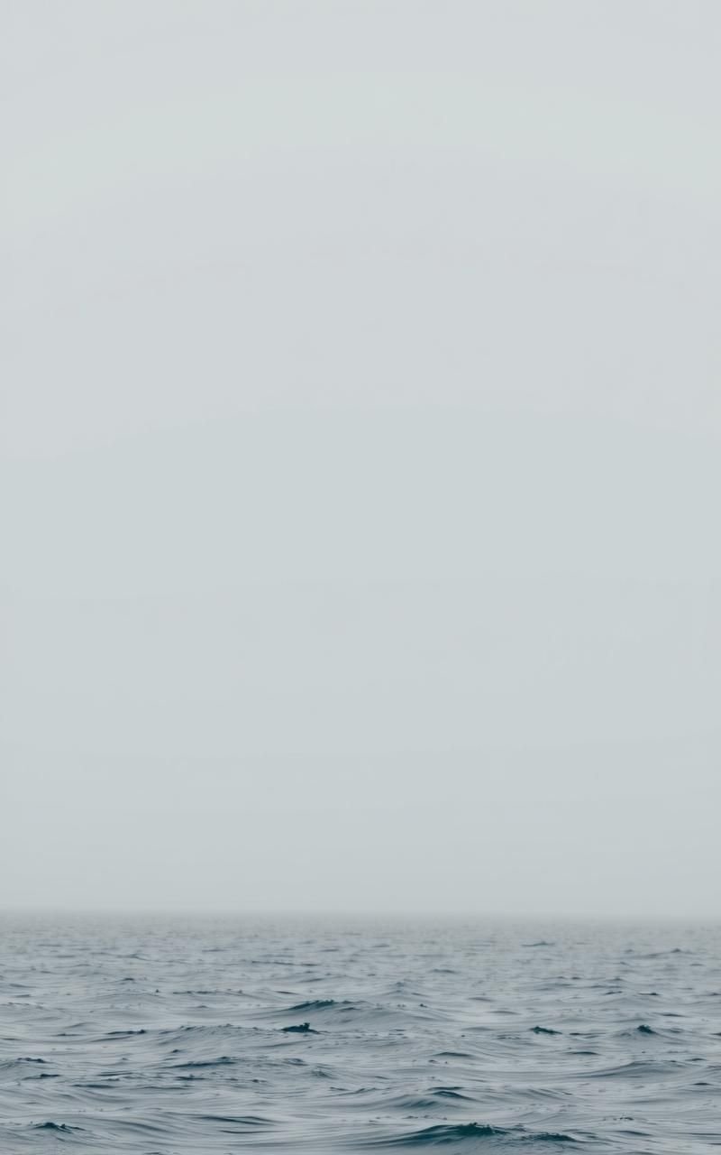 Misty Morning Fog Over Calm Ocean