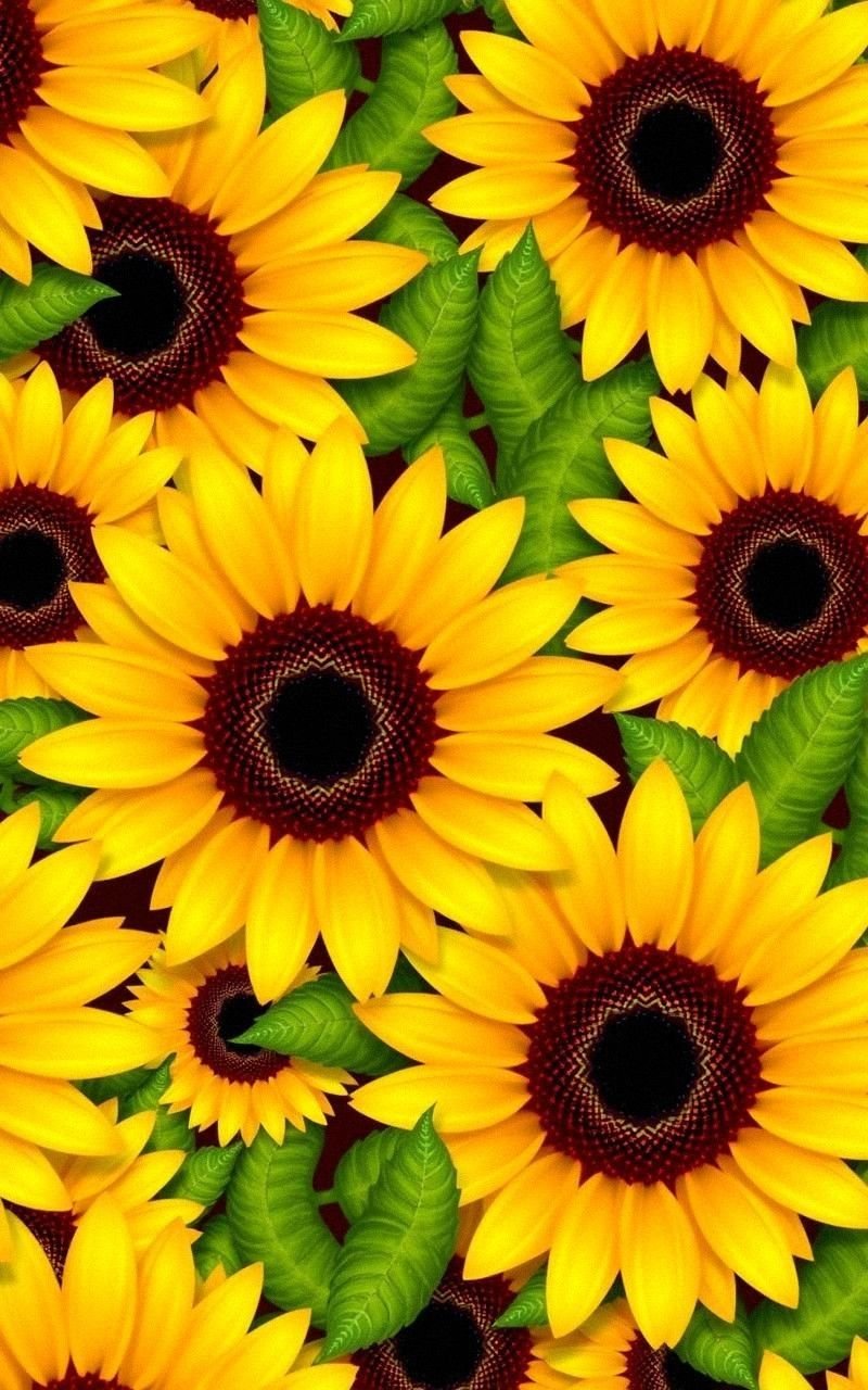 Sunflower Pattern Wallpaper with Repeating Blooms