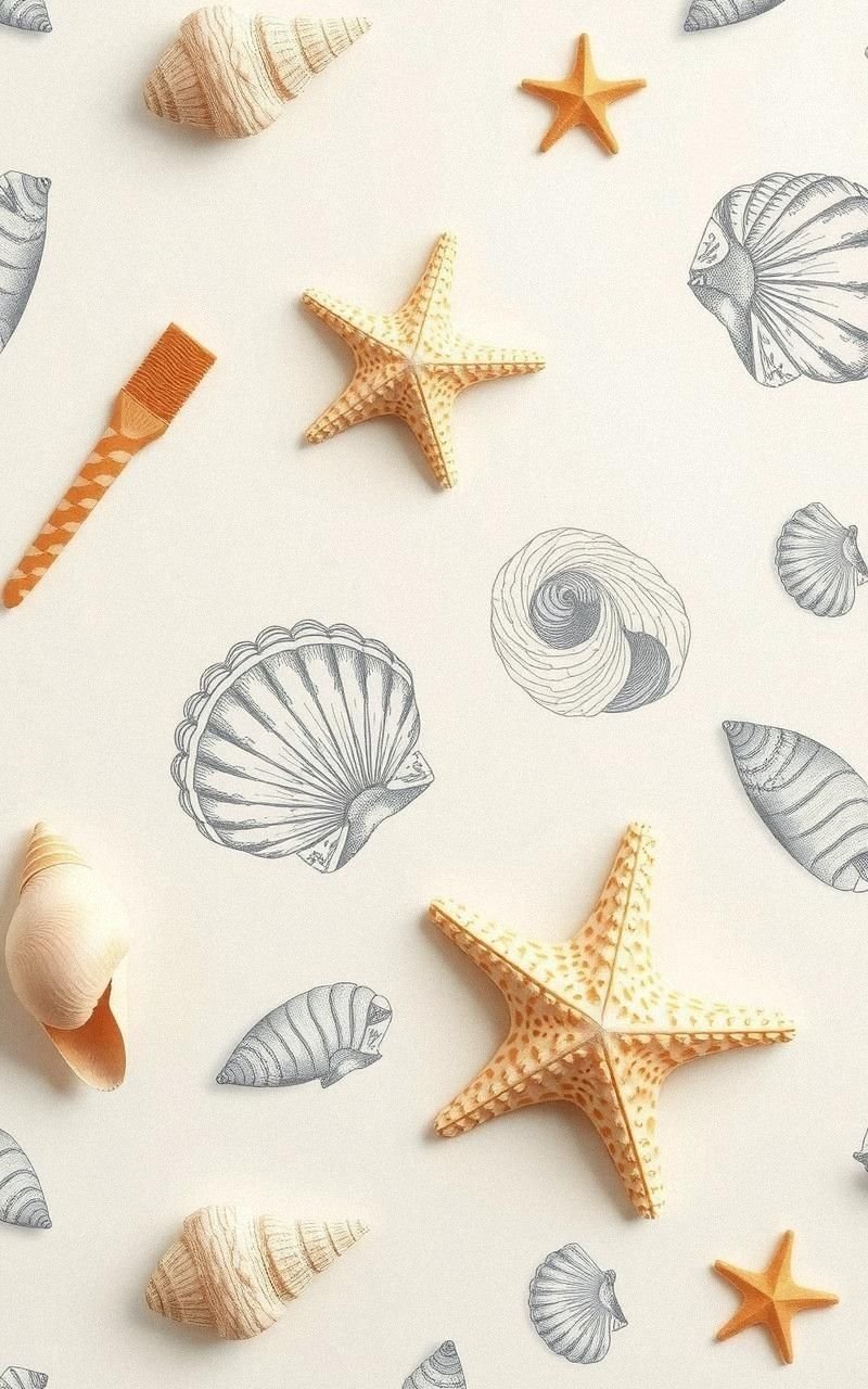 Seashells and Starfish on Aged Cream Background