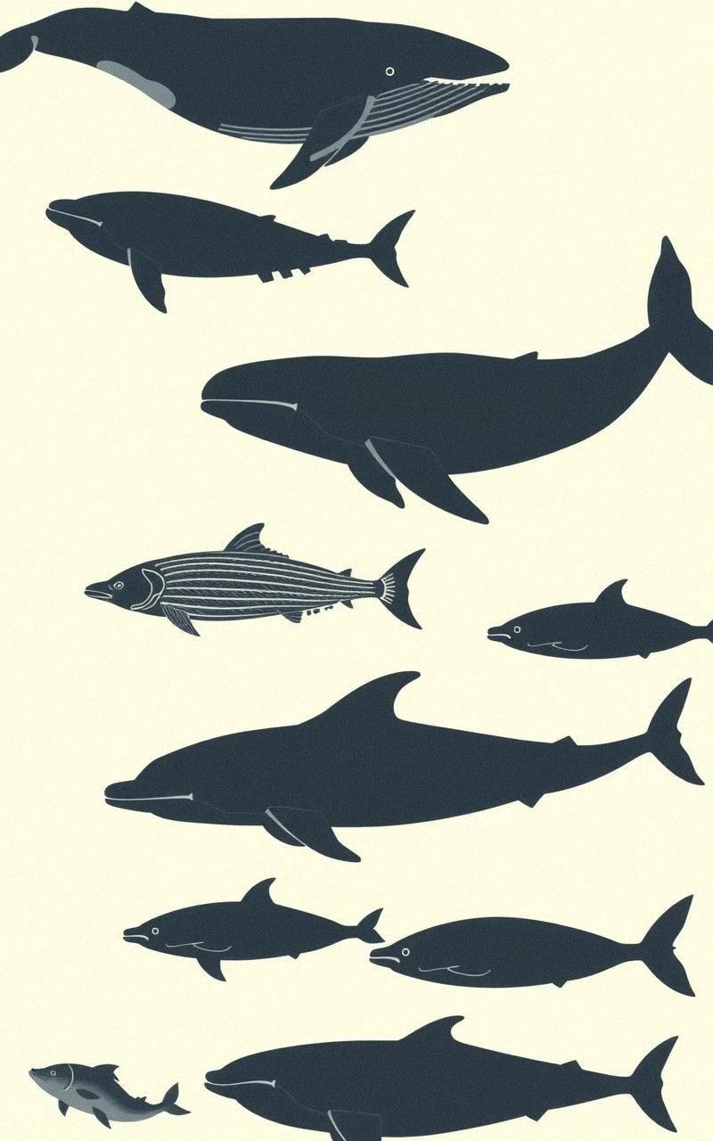 Vintage Marine Life Silhouettes in Monochrome