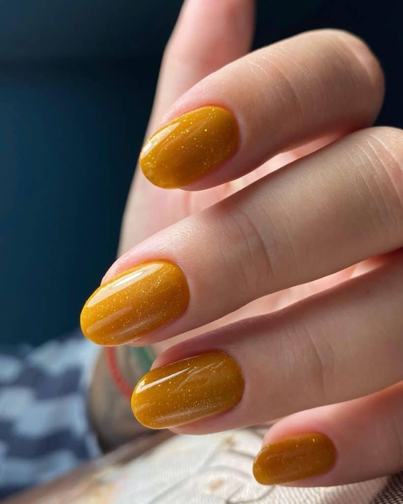 Autumn Fall Acrylic Nails 2025: Trendy and Classy Design 25 Ideas