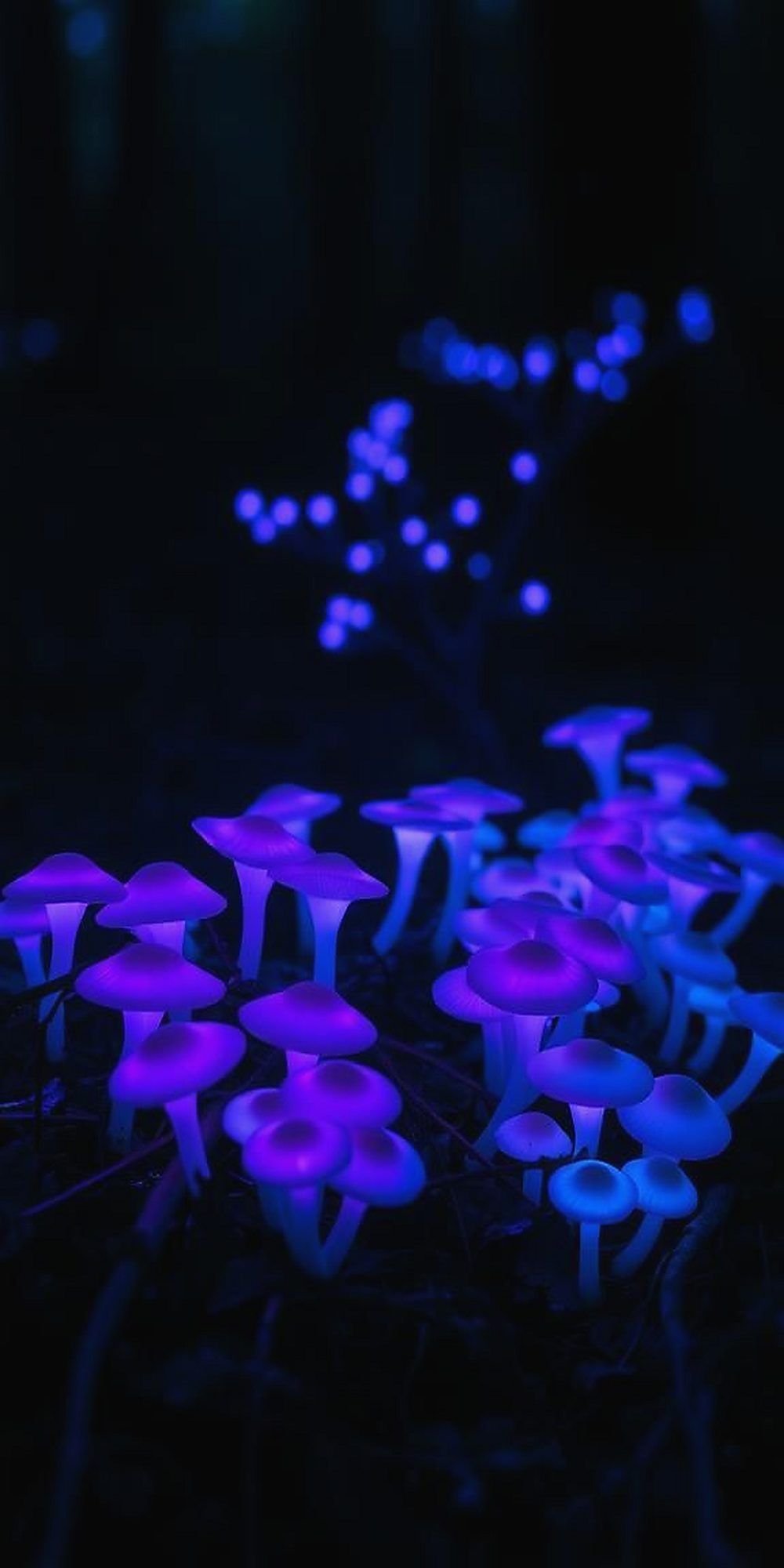Enchanted Glowing Mushrooms in the Underbrush
