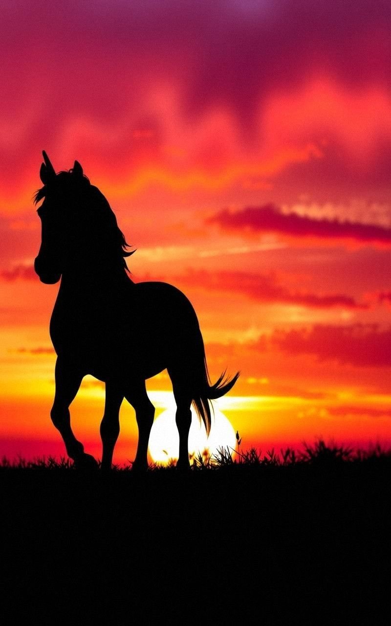 Unicorn Silhouette Against Vibrant Sunset Horizon