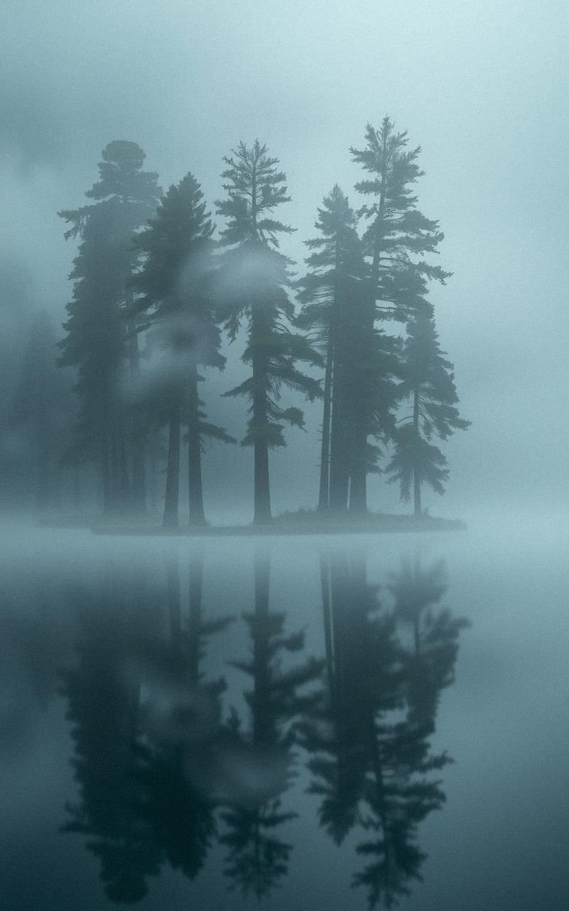 Foggy Forest Lake Mirror Image