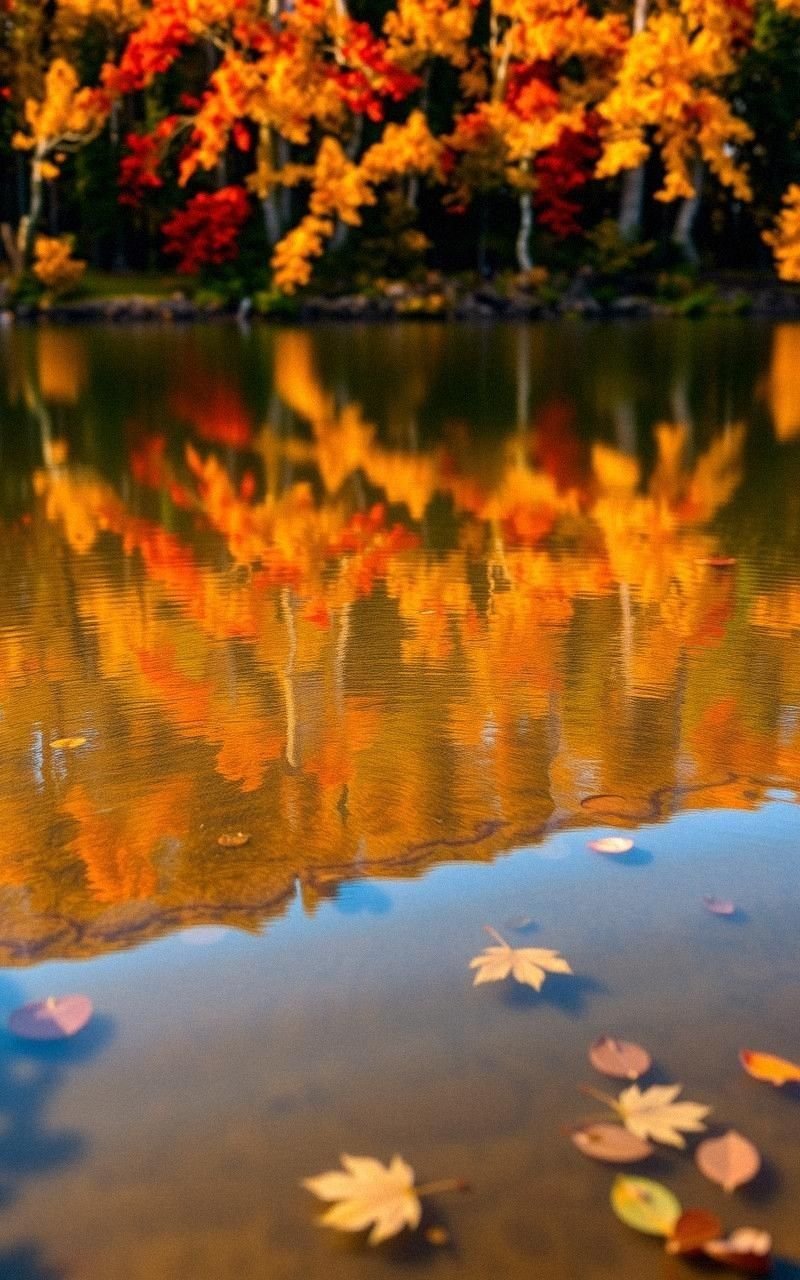 Vibrant Autumn Lake Reflection