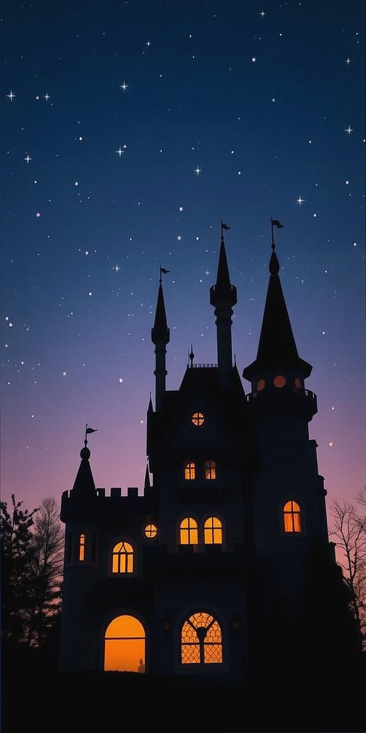Twilight Castle Silhouette Against Starry Sky