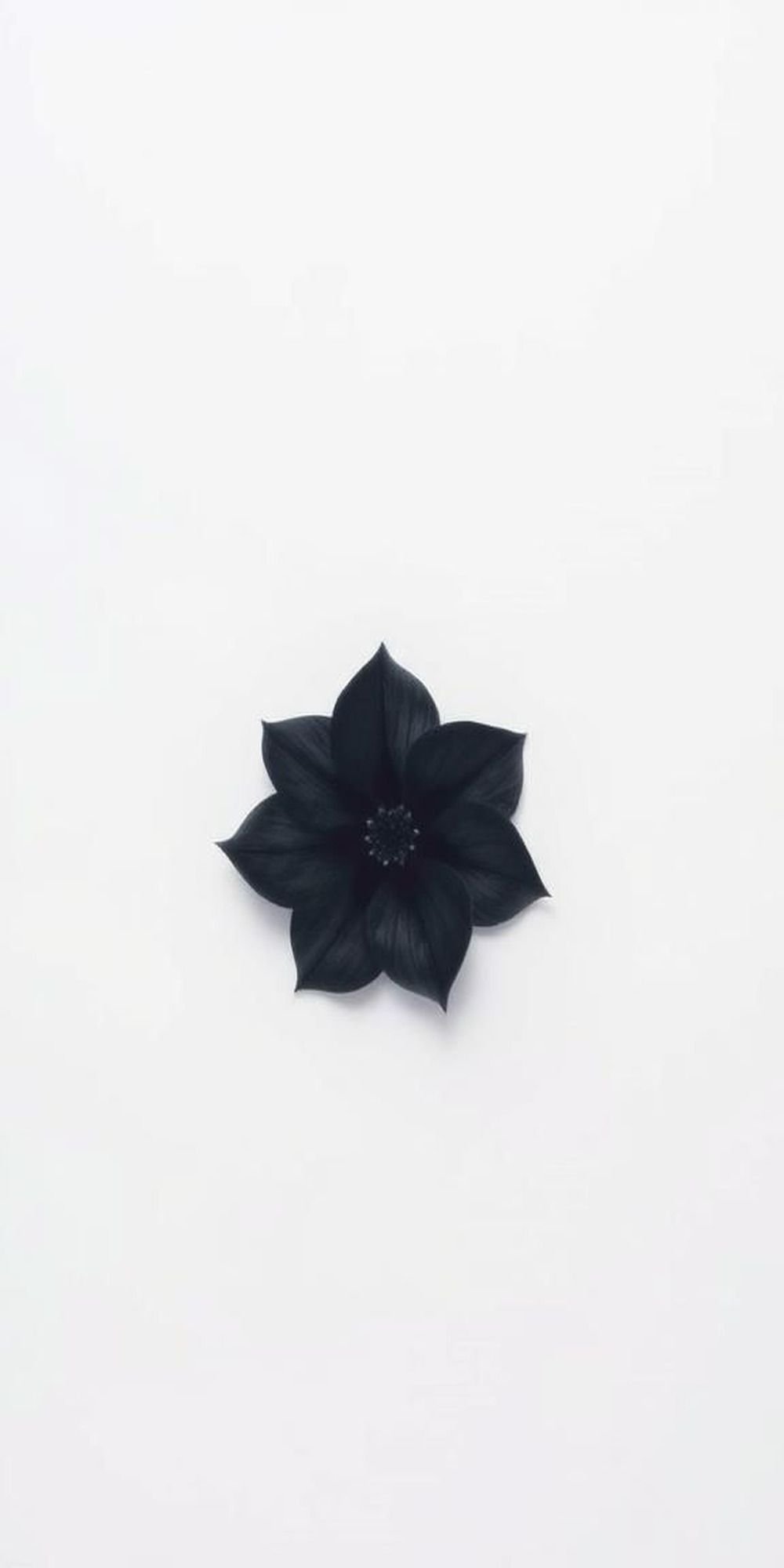 Minimal Negative Space Ink Bloom Focus