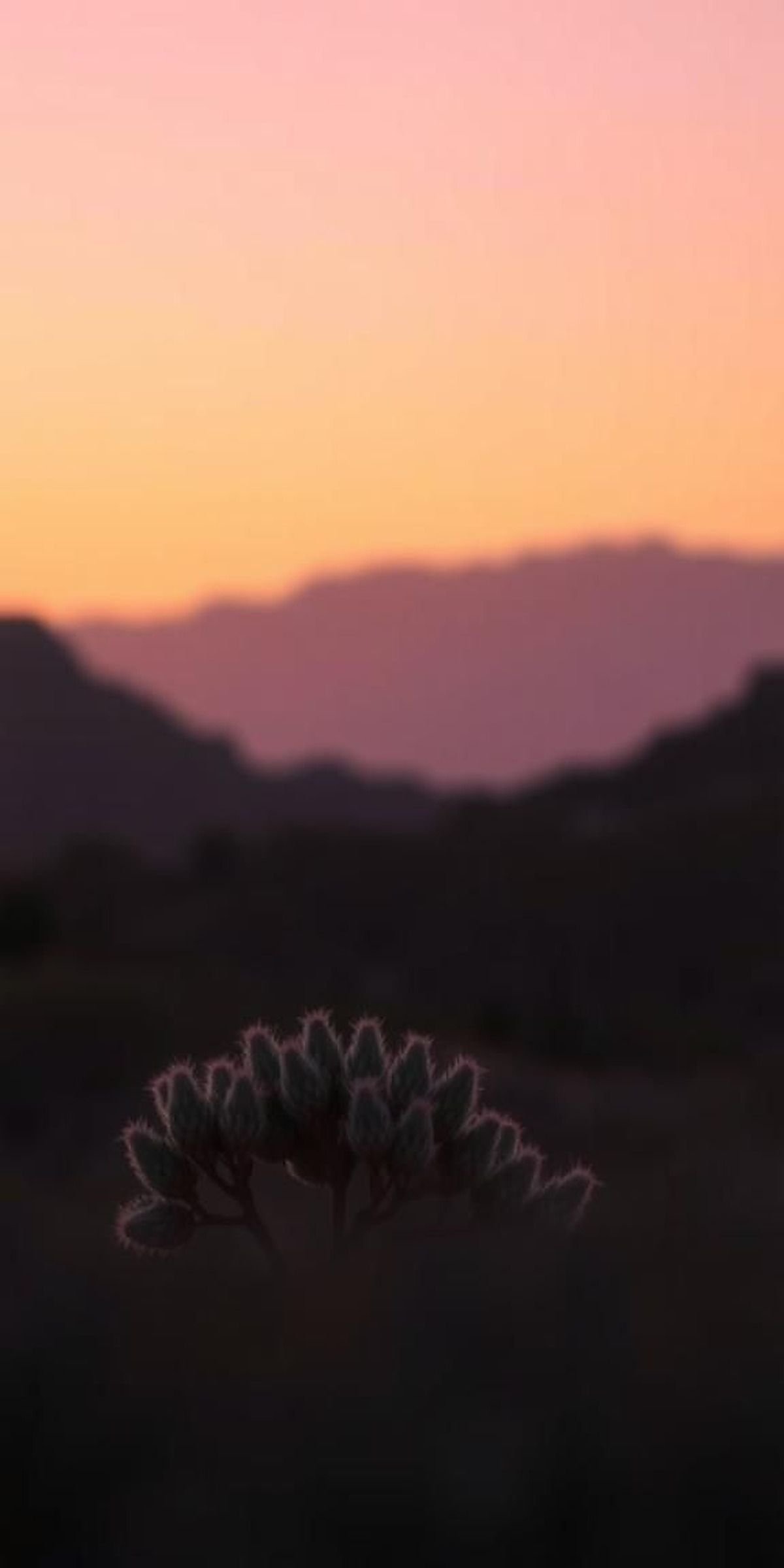 Sunset Gradients with Soft Silhouettes