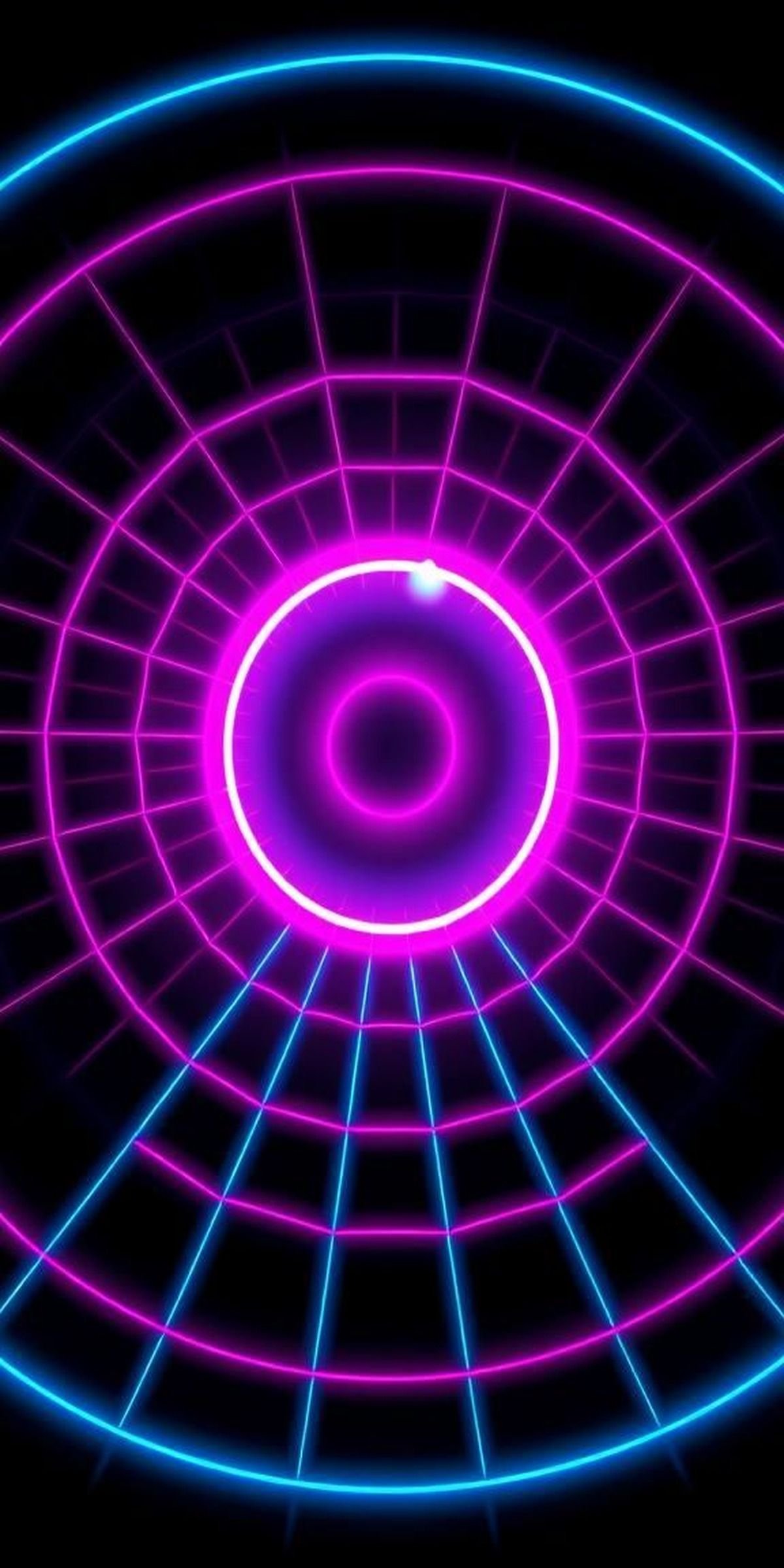 Neon Torus Field Lines In Night Black