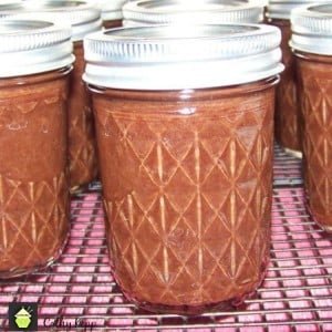 Cathys Apple Butter1