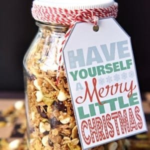 Gingerbread Granola with Cranberries Pistachios White Chocolate Chips by Five Heart